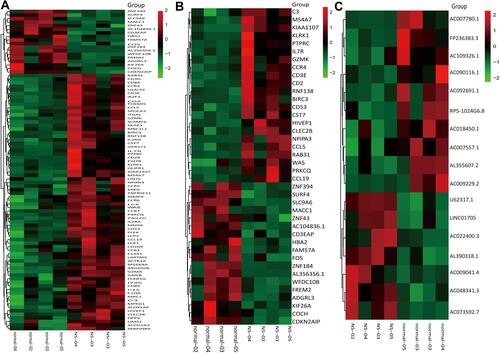 Figure 1 The heat maps of significantly differentially expressed mRNAs and lncRNAs between NS and normal tissues. (A) All the significantly differential expression levels for mRNAs. (B) The top 20 upregulated and down regulated mRNAs. (C) All the differential expression levels for LncRNAs.