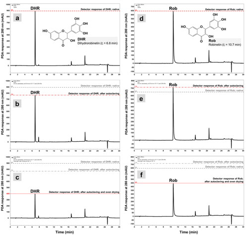 Figure 3. HPLC-PDA chromatograms of DHR and Rob exposed to autoclaving and oven drying. (a and d), a PDA detector response of intact DHR and Rob (native); (b and e), detector response of DHR and Rob after autoclaving for 20 min at p = 220 kPa and T = 121 °C; (c and f), detector response of DHR and Rob after 20 min steam sterilization followed by overnight oven drying at T = 105 °C.