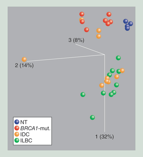 Figure 1.  Principle component analysis of genome-wide DNA methylation data. The first principle component is depicted in the vertical axis. Each ball represents 8550 variable CpG sites of one primary tissue specimen (blue: [NT; red: specimens from patients with BRCA1-mut.; orange: IDC samples; and green: ILBCs. NT and BRCA1-mut. samples separate from ILBC samples along the first principle component. IDC do not form an independent group; however, either cluster with ILBC or BRCA1-mutated samples. BRCA1-mut.: BRCA1-germline mutation; IDC: Invasive ductal breast cancer; ILBC: Invasive lobular breast cancer; NT: Normal breast tissue.