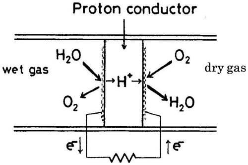 Figure 19. Schematic of steam concentration cell using a solid proton conductor as the electrolyte. Reprinted from [Citation7] with permission from Elsevier.