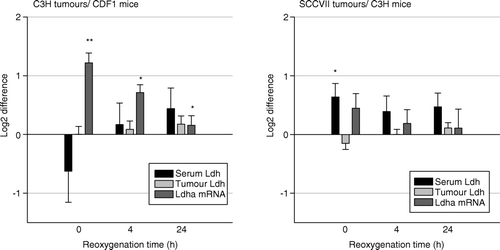 Figure 3.  Fold difference in serum (black bars) and tumour LDH activity (gray bars), and Ldha mRNA expression (dark gray bars) in 200 mm3 C3H mammary carcinoma (left panel) and SCCVII carcinoma (right panel) bearing mice treated with 10% oxygen for 12 hours and then reoxygenated for 0, 4 or 24 h when compared to controls. Bars represent means ±s.e.m. (n = 7–9 for each group; *p < 0.05, **p < 0.001 compared to control).