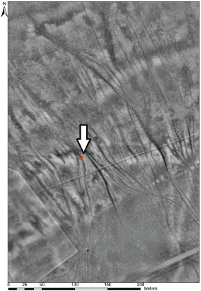 Fig. 2. Visualisation with airborne laser scanning data of historical cart tracks east of Oud-Reemst (Hoge Veluwe National Park, The Netherlands), visualization .In red, the outline of trial trench in the bundle of car tracks. Also indicated with the white arrow.