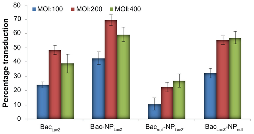 Figure S2 Optimization of transduction condition in human adipose tissue-derived stem cells with Bac-NPLacZ. In each well of 96-well plate, 2 × 104 cells were seeded and cultured overnight. The nanobiohybrid complexes were prepared from 1 μg deoxyribonucleic acid (complexed with transactivating transcriptional activator) per 109 plaque forming units baculovirus. Effect of baculovirus MOI on baculovirus-nanoparticle complex-mediated cell transduction. Cells were transduced with the prepared baculovirus-nanoparticle complex at constant N/P ratio of 3 with MOI of 100, 200, and 400 and stained with X-gal, 24 hours post-transduction, to determine the percentage cells transduced with LacZ expression. Three independent experiments were performed and data expressed as mean ± standard deviation. Bac-NPLacZ with MOI of 200 showed highest transduction as compared to other groups.Abbreviations: BacLacZ, LacZ-carrying baculovirus; BacLacz-NPnull, LacZ-carrying baculovirus-nanoparticle (carrying no gene of interest) complex; Bac-NPLacZ, baculovirus-LacZ-carrying nanoparticle complex; Bacnull-NPLacZ, baculovirus (carrying no gene of interest)-LacZ-carrying nanoparticle complex; MOI, multiplicity of infection.
