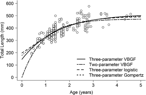 FIGURE 3. Multiple models describing the length-at-age relationship for female Southern Flounder (n = 277) collected from Mississippi waters of the Gulf of Mexico. The three-parameter von Bertalanffy growth function (VBGF), the two-parameter VBGF, the logistic model, and the Gompertz growth model are presented.