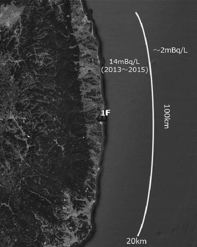 Figure 6. Schematic figure for the coastal region around the 1 F port, in which the white line roughly indicates 20 km range distant from the land and median values of measured seawater concentrations of 137Cs are displayed for the corresponding areas. [Map data: Google, ZENRIN].