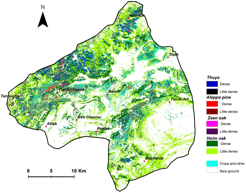Figure 5. Forest density map for 2001. Source: Author.