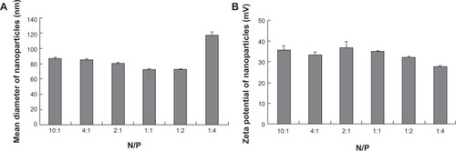 Figure 6 Size (A) and zeta potential (B) of TAT-LHRH-chitosan/DNA complexes.Note: Detected with a Zetasizer Nano ZS (Malvern Instruments, Malvern, UK).Abbreviations: N/P, free molar ratio of NH2/PO4; TAT-LHRH, transactivator of transcription – luteinizing hormone-releasing hormone.