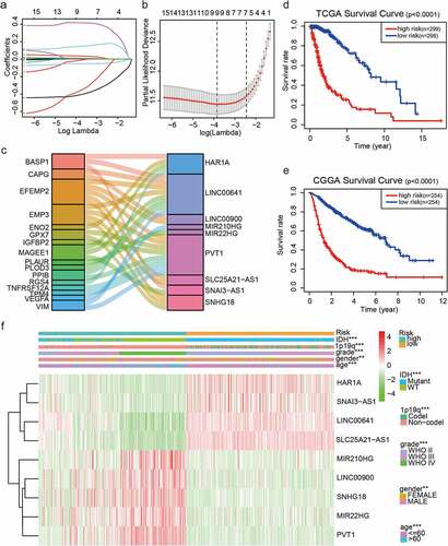 Figure 1. Risk signature consisting of nine EMT-related lncRNAs. (a, b) Inclusion criteria for the nine EMT-related lncRNAs and their constants; the optimal penalty parameter β has been selected for a minimum 10-fold cross-validation of the training set. (c) Seven EMT-related lncRNAs. (d, e) Kaplan–Meier curves for OS in patients in TCGA (high risk: n = 299, low risk: n = 298) and the CGGA (high risk: n = 254, low risk: n = 254) datasets assigned to high-risk and low-risk glioma groups based on the median risk score. (f) Heatmap of the nine EMT-related lncRNAs in low-risk and high-risk glioma. The distribution of clinicopathological features is compared between the low-risk and high-risk groups. ns P > 0.05, * P < 0.05, ** P < 0.01, and *** P < 0.001