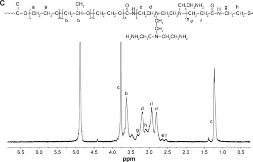 Figure 2 1H NMR spectra of PEI-SS (A), Pluronic-PEI (B), and Pluronic-PEI-SS (C) in D2O.Note: Lowercase letters (a–h) shown above peaks indicate different proton chemical shifts.Abbreviations: PEI, polyethyleneimine; 1H NMR, proton nuclear magnetic resonance; PEI-SS, disulfide-linked PEI; D2O, heavy water.