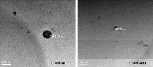 Figure S4 Transmission electron microscopy image of LCNP-#8 and #11 in an acidic condition (pH 1.5).Abbreviation: LCNP, liquid crystal nanoparticle.