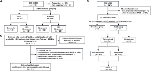 Figure 1 The grouping and inclusion/exclusion of datasets in this study. (A) The description and grouping of GSE104580. (B) After applying the exclusion criteria, group GSE14520 was based on the treatment approach. (C) The description and inclusion/exclusion of external validation set.