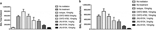 Figure 2. Inhibition of rhTNF- and rhIL-17A-induced Cellular Influx by JNJ-8104 in the Airway Lumen of Mice. Mice were intranasally instilled with rhTNF- and rhIL-17A in combination. After 6 h their lungs were lavaged and total numbers of BAL cells (a) and neutrophils (b) were enumerated as detailed in “Materials & Methods.” Mice were injected intraperitoneally with the test mAbs or isotype control18 hours prior to cytokines challenge. Data are represented as mean ± SEM; N = 6–7 mice/group.