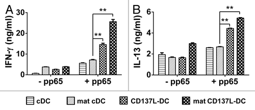 Figure 6. T cells stimulated by CD137L-derived dendritic cells stimulate the release of high levels of TH1 and TH2 cytokines. (A and B) Dendritic cells (DCs) were pulsed with a pool of pp65-derived peptides or left unpulsed (control conditions). pp65-specific T cells were subsequently co-cultured with peptide-pulsed or unpulsed DCs at a ratio of 10:1. Interleukin (IL)-2, IL-7, and IL-15 were added on day 3 of re-stimulation. The levels of interferon (IFNγ) (A) and IL-13 (B) in culture supernatants were determined by ELISA 5 d later. Means ± SD of triplicate measurements are depicted. **P < 0.01 (two-tailed, unpaired Student t test). These data are representative of at least 2 independent experiments yielding comparable results.