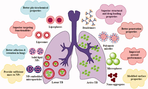Figure 1. Overview of DPIs based novel delivery systems for effective TB treatment.