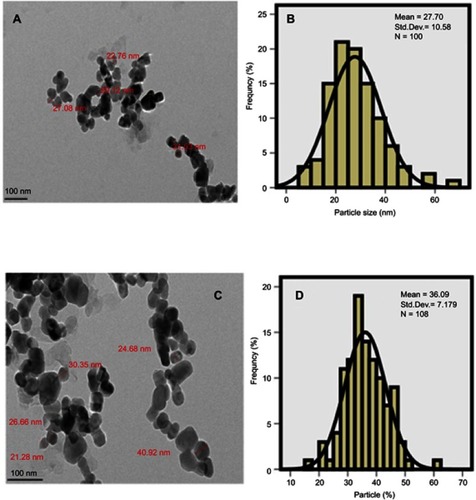 Figure 4 Transmission electron micrographs for (A) the nanoparticles co-coated with Mg/Al-LDH (100 nm bar), (B) Their particle size distribution, (C) the nanoparticles co-coated with Zn/Al-LDH (100 nm bar), (D) their particle size distribution.