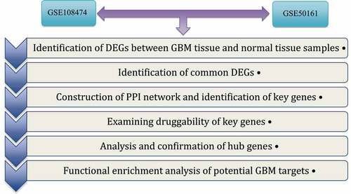 Figure 1. The steps to identification of DEGs and analysis of hub genes in the GBM.