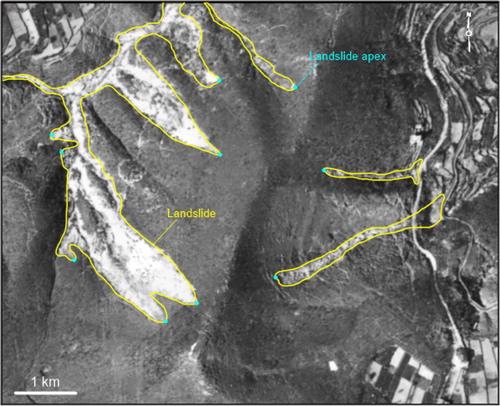 Figure 2. Examples of landslides mapped through visual interpretation of digital ortho-rectified aerial imagery. Yellow lines indicate landsides boundaries and light blue dots indicate source area apexes. See Figure 1 for position of the sample area.