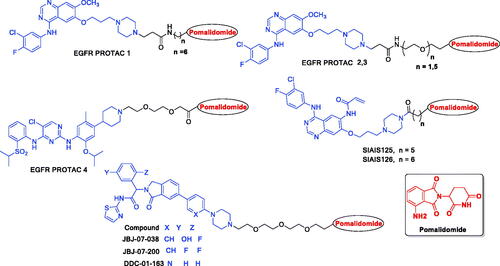 Figure 1. Chemical structures of previously published EGFR targeting PROTACs based on pomalidomide.