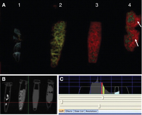 Figure 1. 3DCT images of several substances. (A) 3DCT images of bone, CaCO3, water, and soft tissue at optimal CT window values (CTWVs). 1, Bone (bovine; blue); 2, CaCO3 (yellow); 3, water (red); 4, soft tissue (meat fragment; green). Note that the meat fragment contains water (arrows). (B) Simple CT view of the several substances in the polyethylene tubes. (C) CTWVs of each substance.