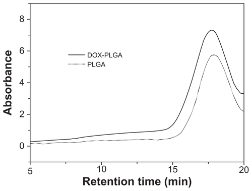 Figure S1 Gel Permeation chromatogram of DOX-PLGA conjugate (solid line) and unconjugated PLGA (dotted line)Abbreviations: DOX, doxorubicin; PLGA, poly(lactic-co-glycolic) acid.