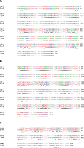 Figure S1 Alignment of target (P. aeruginosa) sequence and E. coli template protein sequence. (A) DNA Gyrase subunit B (GyrB) with template (PDB: 1EI1). (B) Topoisomerase IV subunit B (ParE) with template (PDB: 1S16). (C) Dihydrofolate reductase (DHFR) with template (PDB: 1RX3).