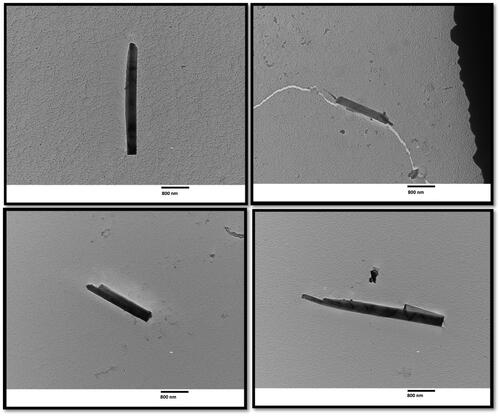 Figure 7. Representative TEM images of LA 2007 fibers – aerosol samples. (Scale bar is 800 nm for all photos.)