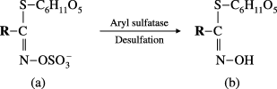 Figure 1  Enzymatic desulfation of glucosinolates. (a) Glucosinolate; (b) desulfated natural glucosinolate.