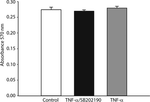 Figure 5 The cell cytotoxicity of TNF-α and the effect of p38 inhibitor SB202190 on the viability of DH neuron were evaluated using MTT assay.