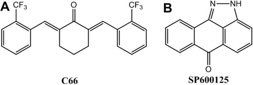 Figure 1 Chemical structure of C66 (A) and JNK inhibitor SP600125 (B).