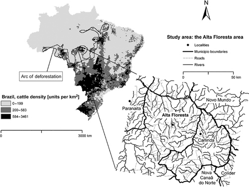 Figure 1. Study area. The ranching expansion occurs at different scales. It exhibits a core–periphery pattern in Brazil as shown by cattle density (FAO Citation2003). In the arc of deforestation, hotspots of high cattle density are surrounded by frontiers that are in contact with primary forest. In the Alta Floresta frontier under study here, a centrifugal deforestation has taken place centered on the municipal central points. Edge effects and new deforestation spots may now be dominant patterns. The former intensify land use by keeping forest regrowth at bay. The latter extend deforestation. Together they are an expression of the land use transition that posits gradually expanding and intensifying human land encroachment (Foley et al. Citation2005). This responds to land attractiveness (higher primary productivity in Amazonia and low land prices). The ecotone between the Cerrado savannah and the Amazonian moist forest is seemingly more attractive providing pastures with moisture but also making fire management easier. The arc of deforestation is located in this ecotone. Alta Floresta is also a contact region or transition area between forest and savannah (WWF 2006), and edge deforestation replicates this balance of dryness and moisture. The arc of deforestation was outlined based on Advanced Very High Resolution Radiometer (AVHRR) and Moderate Resolution Imaging Spectroradiometer (MODIS) data (DeFries et al. Citation2000; Hansen et al. Citation2003). The arc is composed of tree cover losses ≥ 50% in 1992–2001. The outline was consistent with two independent 1992 and 2001 data sets (Eva et al. Citation2002; Walker and Qi 2009). This outline coincided to a great degree with the risk associated with cattle density (de las Heras and Lake Citation2008).