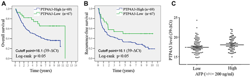 Figure 2 The PTP4A3 expression level is associated with overall survival in hepatocellular carcinoma (HCC). (A and B) Kaplan–Meier survival curves of 2 groups of patients with HCC defined by different PTP4A3 expression cycles using qRT–PCR (n for each group=36, cutoff point=17.51 (39-ΔCt, the median), log-rank P<0.05). Patients with low expression of PTP4A3 have a better overall survival rate than those with high expression. (C) qRT–PCR was used to determine the PTP4A3 expression level, shown as the gene expression cycle (39-ΔCt), in HCC specimens. PTP4A3 expression is higher in patients with high alpha-fetoprotein (AFP) levels than in those with low AFP levels.