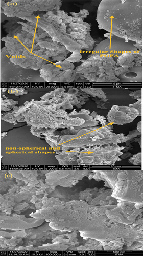 Figure 4. FESEM images for palm oil fuel ash (POFA).