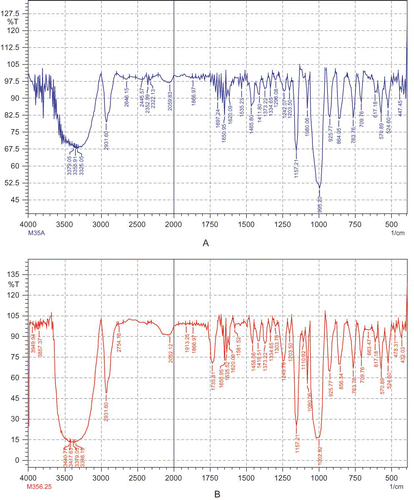 Figure 1 FT-IR spectra of native and acetylated starches (A. native; B. acetylated) (color figure available online).