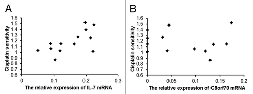 Figure 2. The relationship between C8orf70 and IL-7 mRNA expression and the IC50 of cisplatin in glioma cell lines. (A) IL-7 mRNA expression is positively correlated with cisplatin resistance in glioma cell lines (r = 0.66, p < 0.05); (B) C8orf70 mRNA expression is not related to cisplatin resistance in glioma cell lines (r = -0.081, p > 0.05).