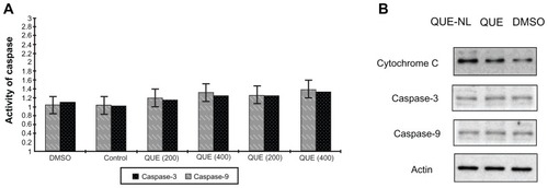 Figure 5 QUE-NL induced necrosis is associated with loss of mitochondrial membrane potential and the changes of ROS and cytochrome C release and caspase activation. (A) QUE-NL did not stimulate caspase-3 or caspase-9 activity compared with control cells. (B) QUE-NL-induced decrease of cytochrome C release and c QUE-NL did not promote the expression of caspase-3 or caspase-9 protein. The alteration of cytochrome C, caspase-3, caspase-9, and actin was analyzed by Western blotting.Abbreviations: DMSO, dimethylsulfoxide; ROS, reactive oxygen species; QUE, quercetin; QUE-NL, nanoliposomes.