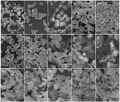 Figure 8. FE-SEM micrographs showing morphologies of the as-synthesized NaLn(WO4)2 (Ln=La-Dy and Y) and those obtained via calcination at 600 °C for 2 hours (Ln=Ho-Lu).