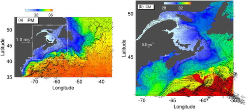Fig. 6 Five-day mean fields of salinity and currents at 9 m on 7 July 2004 produced by (a) the PM and (b) the CM in TWN-CR. Velocity vectors are plotted at every third model grid point.