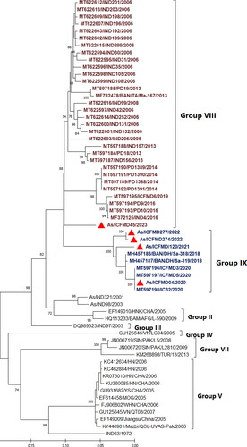 Figure 1. Maximum Likelihood phylogenetic tree reconstructed based on the VP1 coding region, depicting different genetic groups of serotype Asia1. The isolates sequenced in this study are marked by filled red triangles. The figure indicates the percentage of bootstraps (out of 1000) supporting the corresponding clade. Branch lengths are measured in substitutions per site. Four out of five isolates sequence determined in this study clustered within G-IX.