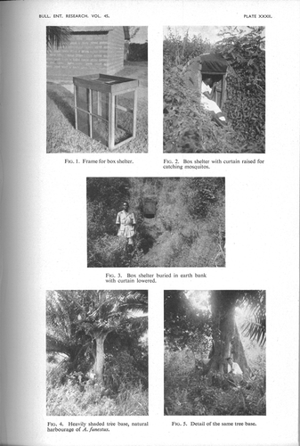 Figure 7 Images showing artificial shelters to collect mosquitoes from outdoor resting sites. (Photo from Gillies [Citation1954]; © Cambridge University Press [Bulletin of Entomological Research]. Reproduced by permission of Cambridge University Press [Bulletin of Entomological Research]. Permission to reuse must be obtained from the rightsholder.)