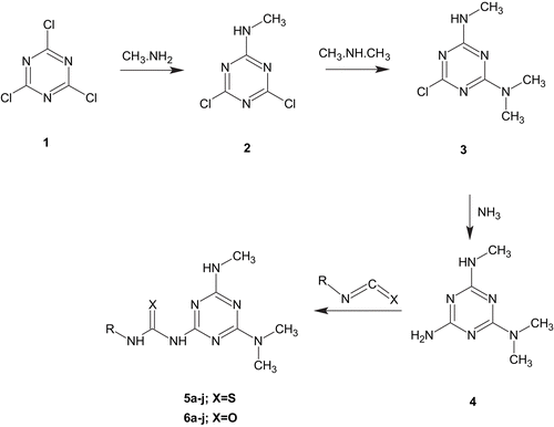 Scheme 1.  Synthesis of compounds 5 and 6.