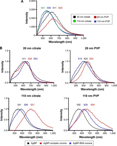 Figure 1 Hyperspectral analysis of AgNPs and the PC.Notes: (A) Hyperspectral analysis characterizing differences in mean spectra of AgNPs with a diameter of 20 nm or 110 nm and suspended in either citrate or PVP. (B) Differences in mean spectra of AgNPs due to addition of a complex PC (10% fetal bovine serum) or an individual PC composed of BSA.Abbreviations: NPs, nanoparticles; PVP, polyvinylpyrrolidone; PC, protein corona; BSA, bovine serum albumin.