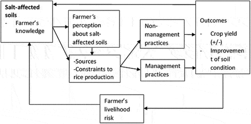 Figure 2. Conceptual model of salt-affected soils interaction with farmers’ knowledge, management practices and risk to the livelihoods of farmers.