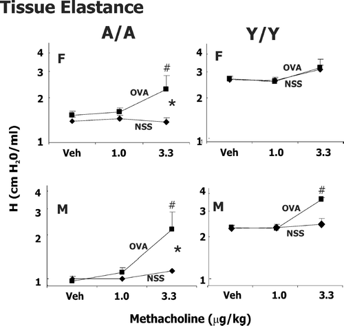 FIG. 3 Methacholine-induced changes in tissue elastance (H) in male (M) and female (F) guinea pigs sensitized with 0.5 mg/kg OVA IP and challenged intratracheally with either saline (NSS) or 400 μ g/kg OVA. Responsiveness to vehicle (Veh; PBS/heparin) and two successive doses of IV methacholine was determined 24 hr after challenge. Details of treatment groups are shown in Table 1. Values represent the geometric mean ± SE. * p < 0.05, significant overall OVA effect with repeated measures ANOVA. #p < 0.05, the change in tissue elastance to either 1 or 3.3 μ g/kg methacholine compared to its respective control in animals challenged with OVA is greater than animals challenged with NSS.