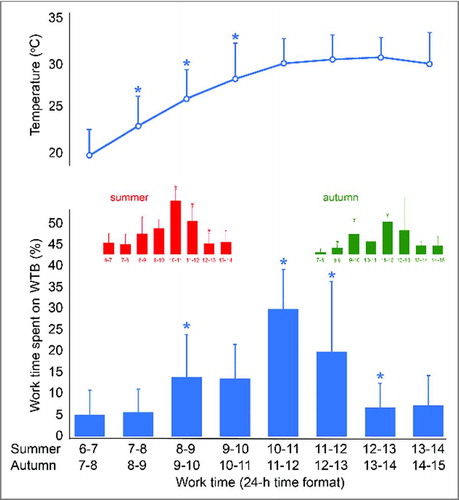 Figure 1. Hourly percentage (mean ± sd) of work time spent on irregular work breaks (WTB) during each hour (local Cyprus time) of the recorded work shifts. Blue bars show results from all the studied work shifts. Red and green bars show results from all the summer and autumn work shifts, respectively. Asterisks indicate significant (p < 0.05) differences from the work hour to the left. The lunch break (which is not included in the WTB) was always taken at 11:00 and lasted for 30 min.