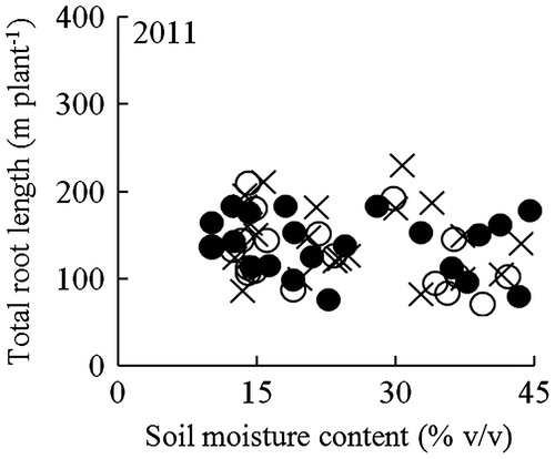 Figure 2. Relationships between soil moisture content at 0–12 cm depth and total root length for NERICA 1 (●), NERICA 4 (○), and IRAT109 (×) plants grown in a field with a sloping bed system in Experiment 1 in 2011. Total root length was determined at 102 d after transplanting. The regression equations for the curves were y = 0.06x2 − 3.8x + 188 (R2 = 0.056 ns) for NERICA 1, y = −0.10x2 + 3.7x + 108 (R2 = 0.196 ns) for NERICA 4, and y = −0.05x2 + 1.8x + 134 (R2 = 0.0381 ns) for IRAT109. ns indicates not significant.