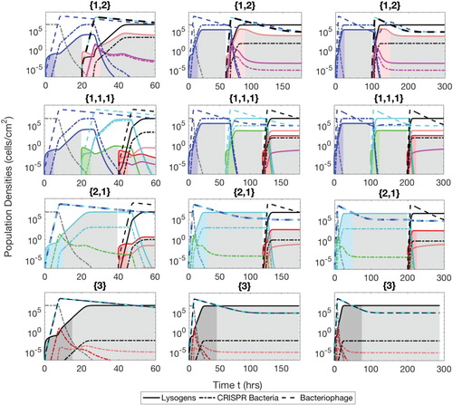 Figure A.4. Populations of bacteria with CRISPR/Cas systems (dash-dot lines), lysogens (solid lines) and phage (dash lines) during the semi-mixed phases therapeutic procedure. The simulation times are t=60 h (Ip=5 and Cp=15), 180 h (Ip=15 and Cp=45) and 300 h (Ip=25 and Cp=75). The lysogens are inserted into the biofilm with up to three prophages either simultaneously or successively. The possible sequences of the number of prophages harboured in the lysogens are {1,2},{1,1,1},{2,1} and{3}, as described in the text.