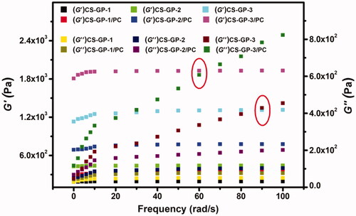 Figure 5. Frequency dependence of the storage modulus (G′) and loss modulus (G′′) versus frequency at 37 °C of CS-GP hydrogels using various concentrations of GP (0.5%, 1.0%, and 1.5%) in presence of PC nanocapsules.