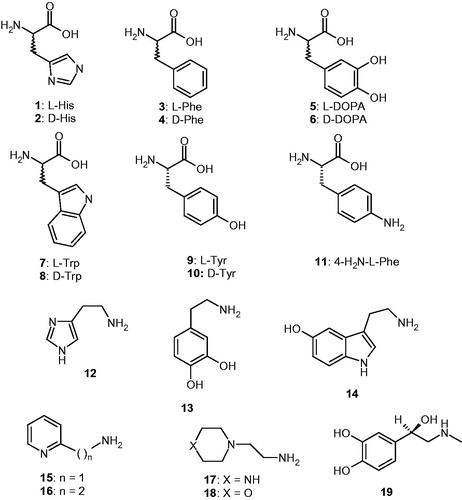 Figure 1. Amino acids 1–11 and amines 12–19 investigated as VchCAα/β activators.
