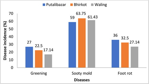 Figure 4. Disease incidence in different orchards in the study area of Syangja, 2021.