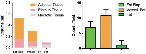 Figure 4. The composition of construct analysis and vessel counts quantification. The construct in fap flap group and vessel+Fat group majorly consisted of adipose tissue. Necrotic tissue was the main component in fat alone group. The cell counts result showed that the vessels in the vessel+fat group were significantly higher than that of in the fat flap group and fat alone group (P < 0.05)